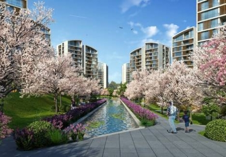 Resim İstanbul Orman'da yeni kampanya! 2 bin 561 TL peşinatla!